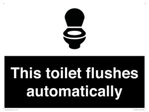 This toilet flushes automatically